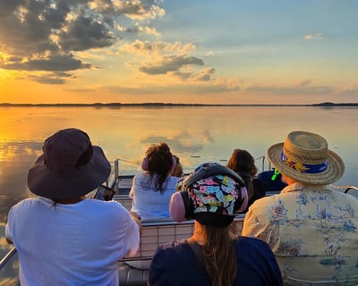 Everglades 1-Hour Airboat Tour & Baby Gator Encounter