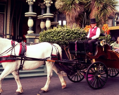 Private Carriage Tour of Old Town Eureka