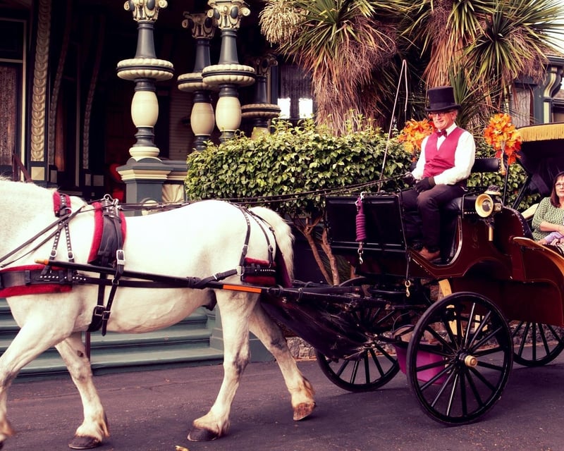 Private Carriage Tour of Old Town Eureka