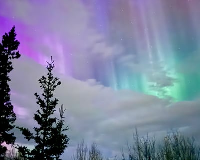 Wasilla Guided Northern Lights Snowshoe Tour