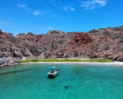 Loreto Danzante & Del Carmen Snorkeling Tour