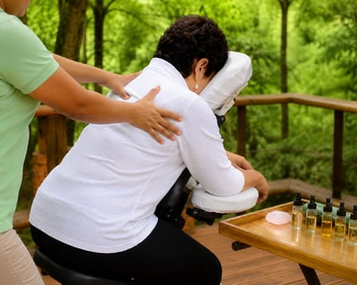 Shiatsu Chair Massage in Rincon de la Vieja