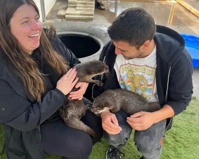 30-Minute Otter Encounter in Tacoma