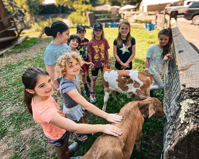 Farm Festival Craft Workshop in Dresher