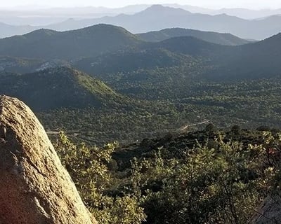 Guided Hummer Tour of Sierra Prieta & Copper Canyon