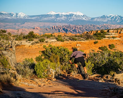 16-Mile Guided Mountain Bike Tour in Moab