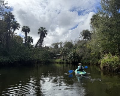 90-Minute Guided Kayak Tour of Turkey Creek