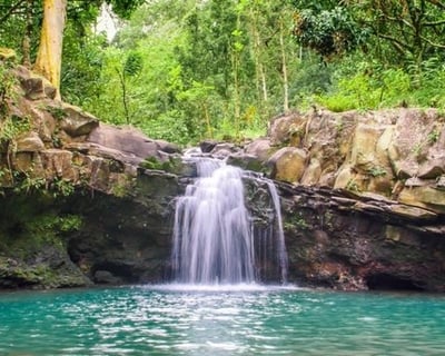 Waterfall & Rainforest Hiking Adventure With South Maui Transfers