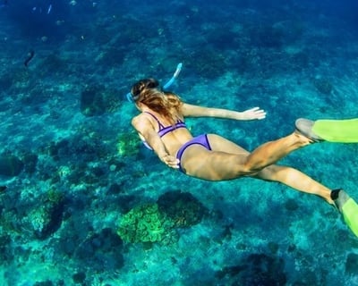 Turtle Canyon Snorkel with Expert Guides & Gear