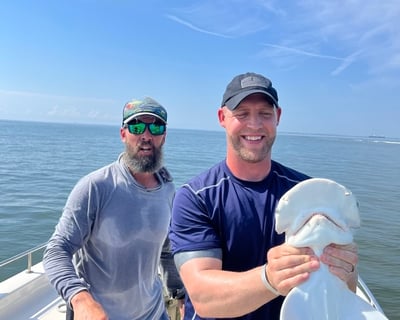 Private 4-Hour Shark & Dolphin Charter, Gear Included