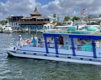 One-Hour Destin Dolphin Watch and Harbor Tour
