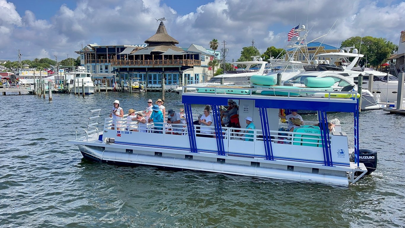 One-Hour Destin Dolphin Watch and Harbor Tour