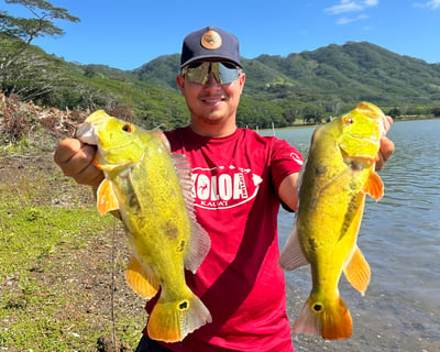 3-Hour Kaua'i Shore Bass Fishing Guided Tour