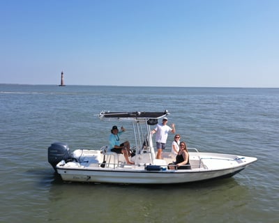 Folly Beach Dolphin Cruise