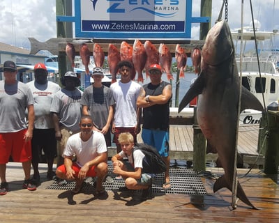 Trolling Fishing Charter in Orange Beach