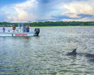 2-Hour Private Dolphin Tour Hilton Head Island