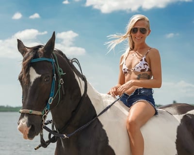 Sand & Surf Horseback Ride in Bradenton