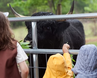 3-Hour Farm Visit in Stafford