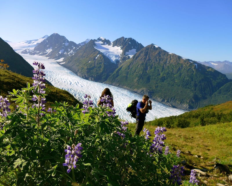 Helicopter Glacier Tour with 2 Landings in Girdwood