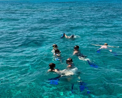 2-Tank Dive in Biscayne National Park