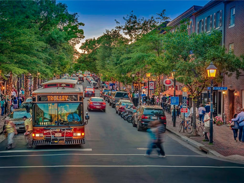 Private Mount Vernon & Old Town Alexandria Tour