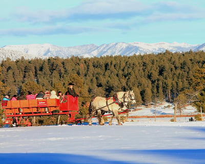 Scenic Horse-Drawn Ride in Pagosa Springs