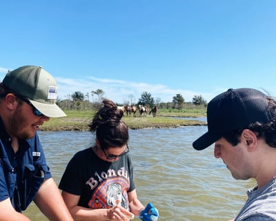 Chincoteague Island Pony & Shellfishing Cruise