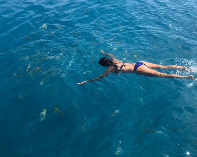 Key West Snorkel or Sandbar Charter