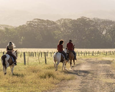 Guided River Horseback Ride in El Guapote