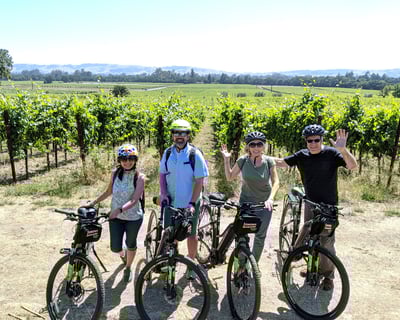 Guided Sonoma Bike Tour: Winery & Olive Oil Farm