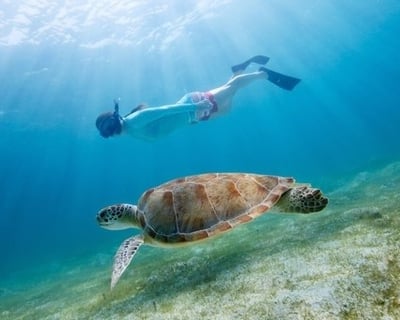 Fort Walton Beach Snorkeling & Dolphin Cruise