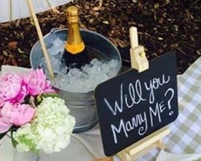 Set Up a Proposal Picnic in New York City