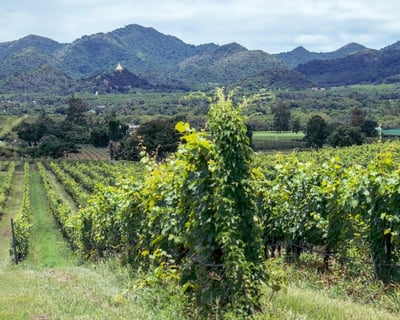 3-Day Napa Valley Wine Country Visit
