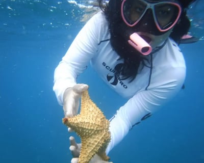 Guided Snorkeling Tour in Fajardo