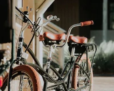 Private Guided Bike Tour of Palmetto Bluff