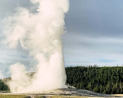 Private Yellowstone National Park Tour