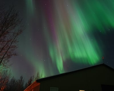 Aurora Viewing Tour in Fairbanks