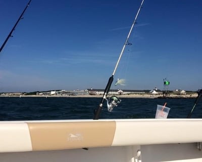 Fish Cape Cod Bay on a 6-Hour Charter