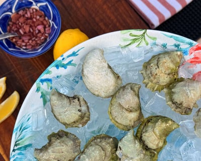 Phippsburg Oyster Farm & Shipwreck Tour