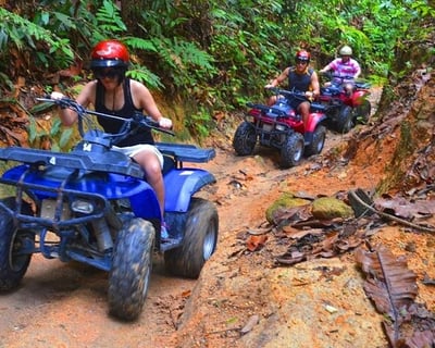 El Yunque 1-Hour Guided ATV Tour