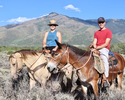 Evening Horseback Ride in Questa