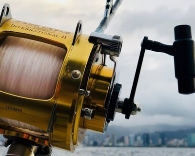6-Hour Backwater Fishing Charter From Marco Island