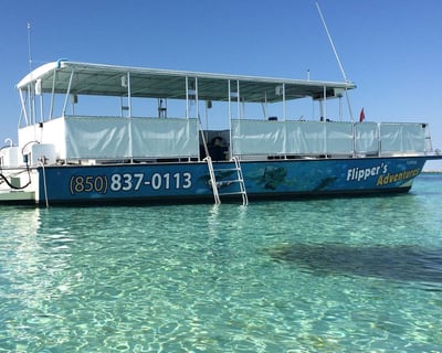 Cruise To Crab Island & Dolphin Watch In Destin
