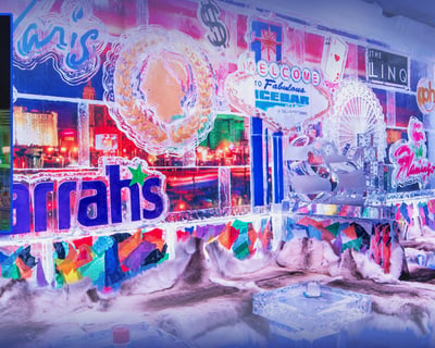 Las Vegas Icebar Experience