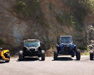 4-Hour UTV Rental in Townsend