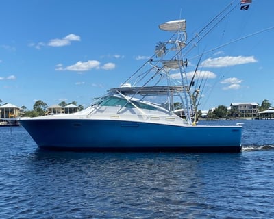 Orange Beach 41' Fishing Charter