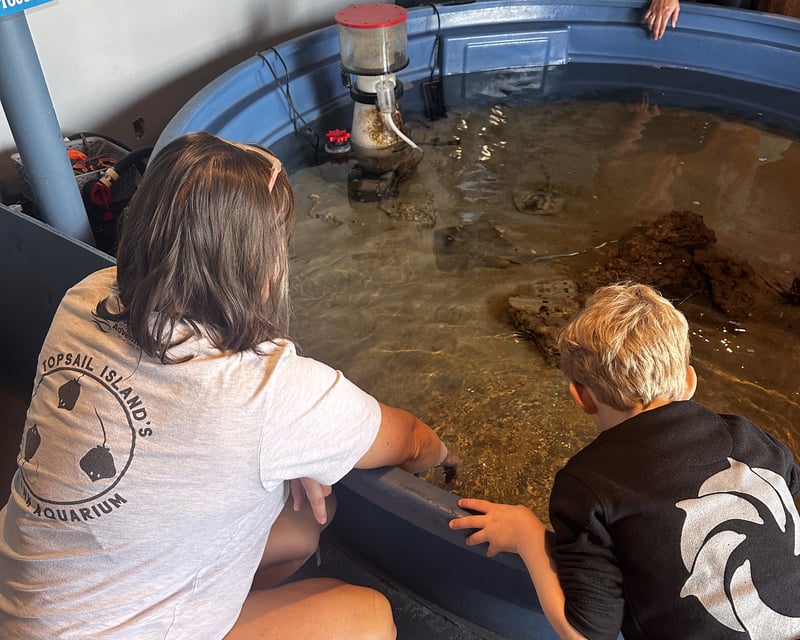 Stingray Feeding at Topsail Aquarium