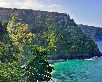 Guided East Maui Rainforest Hike