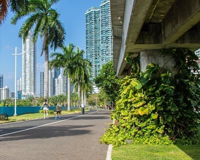 1-Hour Bike Rental in Tierra Verde