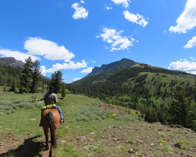 Park City Horseback Adventure in Oakley, UT